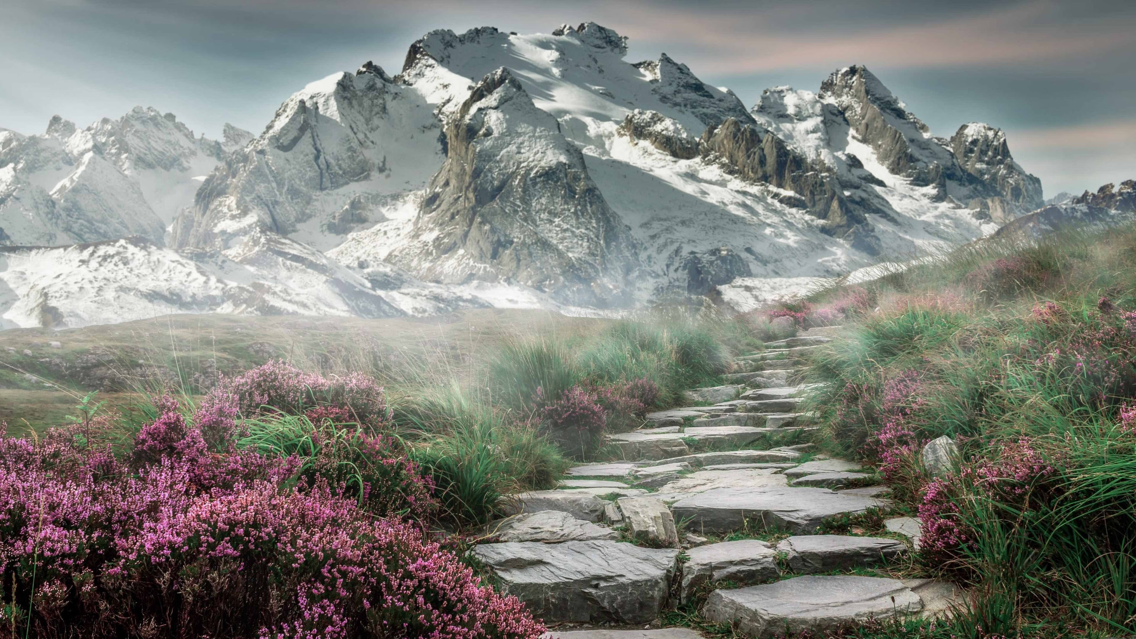 加拿大队赛制分析：在混合团体赛中如何应对技术与策略挑战，加拿大的比赛