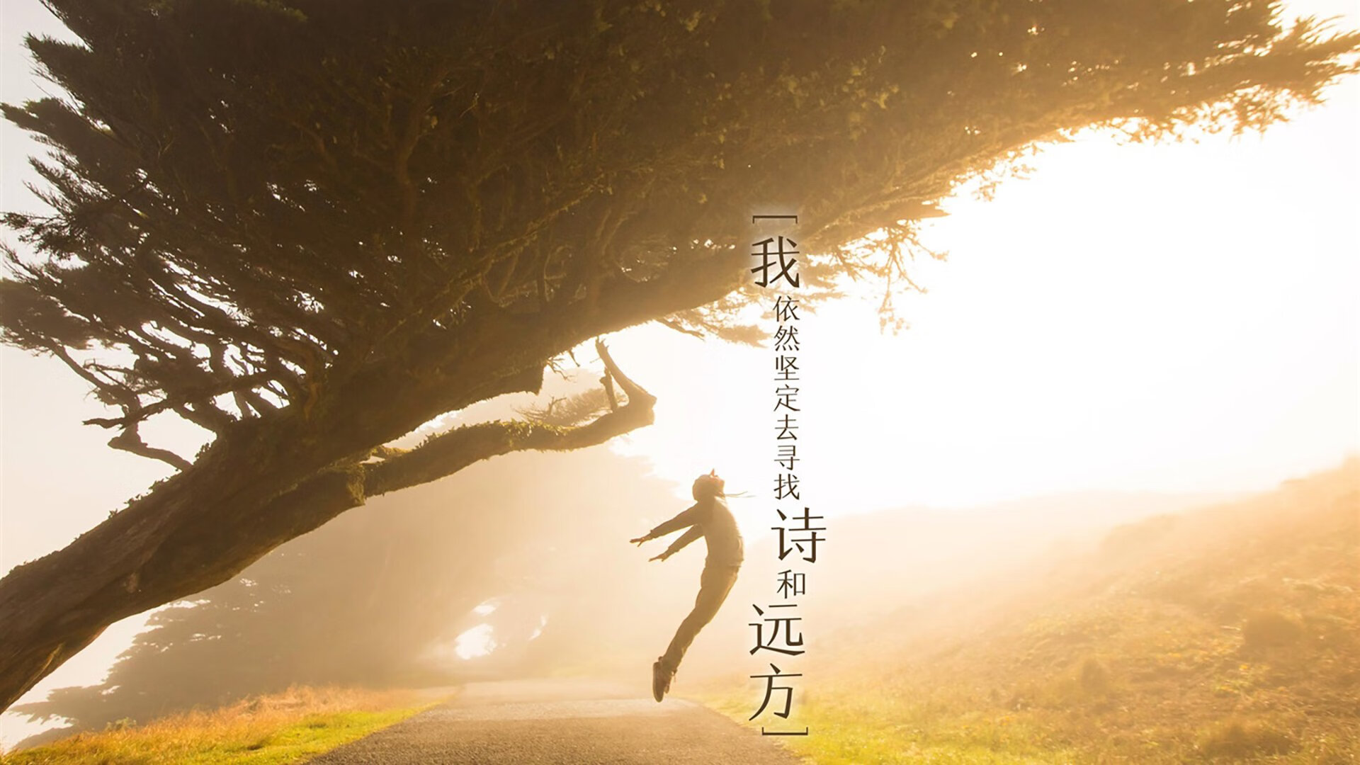 世界杯足球盛宴：球场上每一秒都令人心跳加速，世界杯足球精彩瞬间